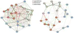 Network analysis and its applications in psychology