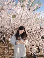 程清荃